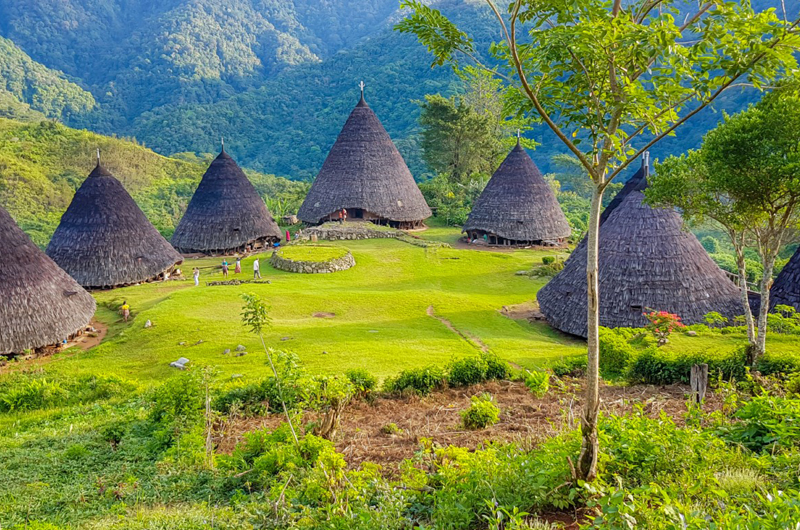 2 DAYS1 NIGHT TRIP TO WAE REBO TRADITIONAL VILLAGE